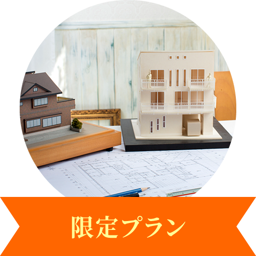 限定プラン