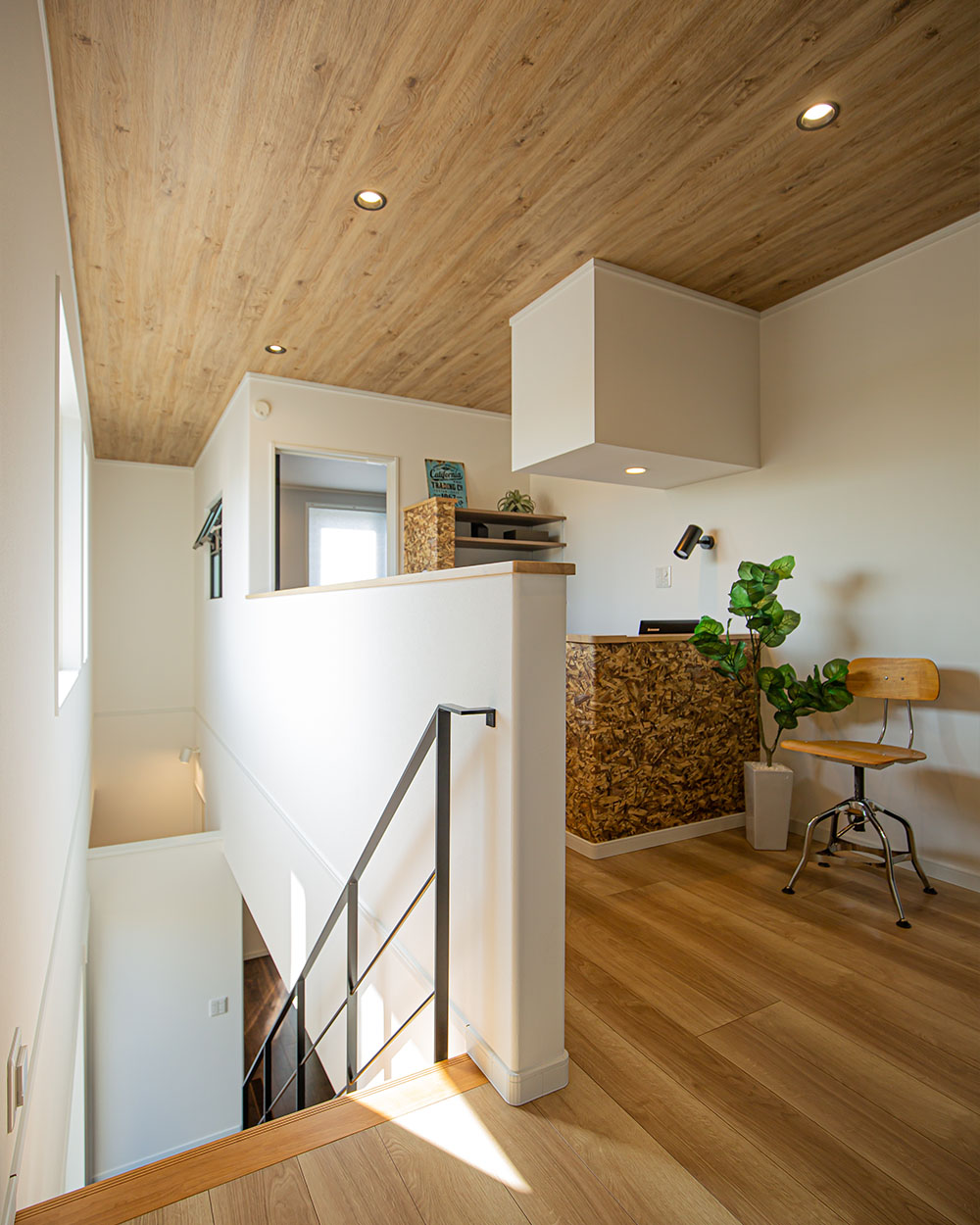 photo14